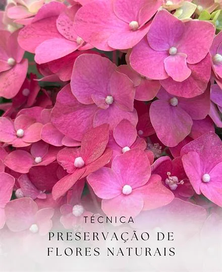 Técnica preservação de flores naturais